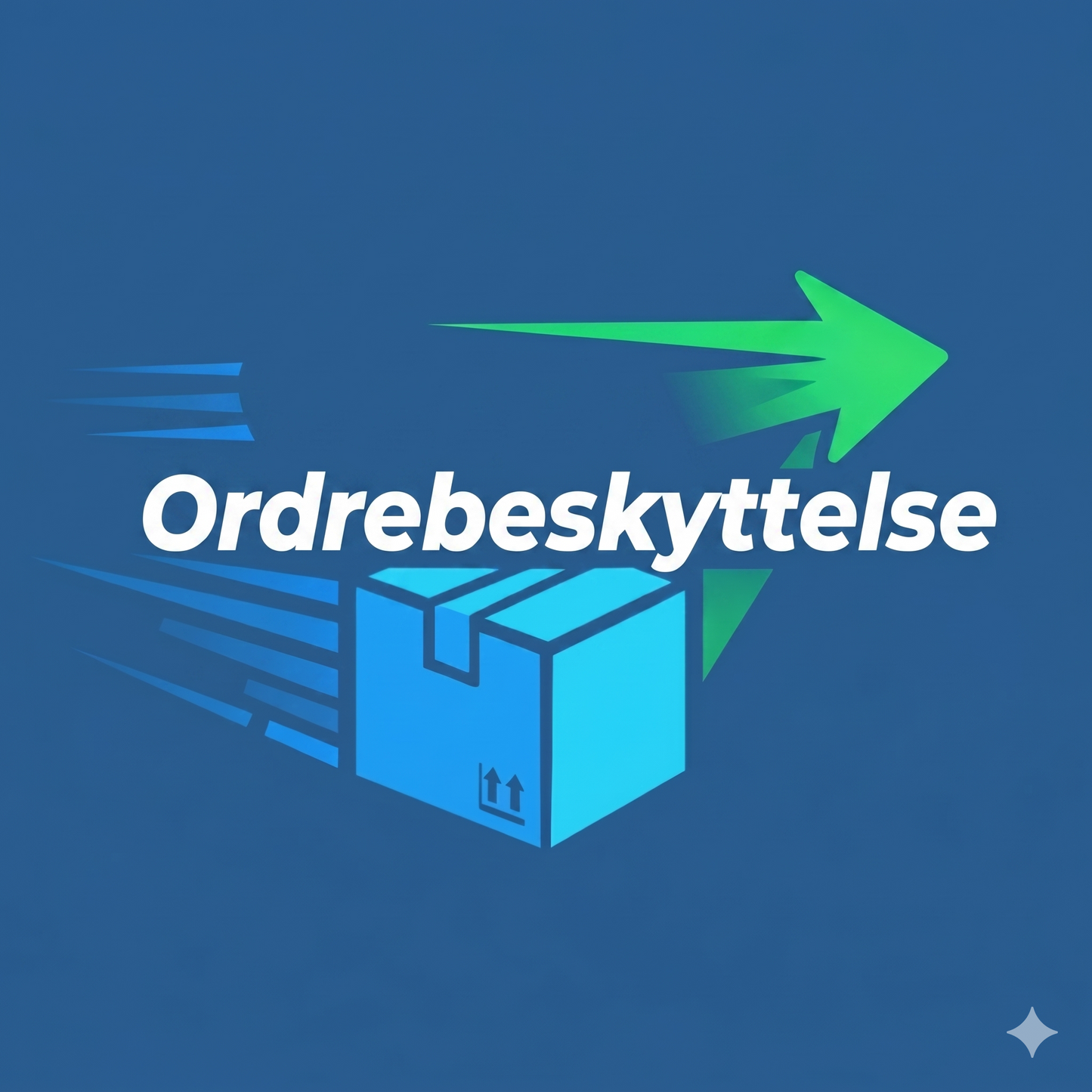 Ordrebeskyttelse